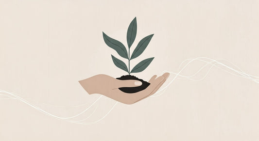 What’s sustainability and how does it affect me?